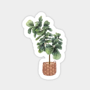 Fiddle Leaf fig Sticker